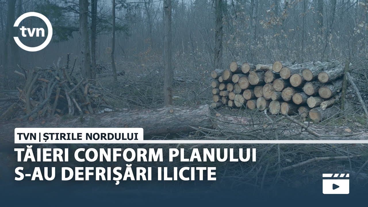 TĂIERI CONFORM PLANULUI S-AU DEFRIȘĂRI ILICITE [VIDEO]