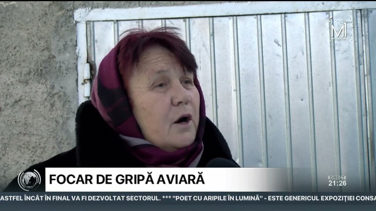 Focar de gripă aviară, descoperit într-un sat din raionul Soroca [VIDEO]