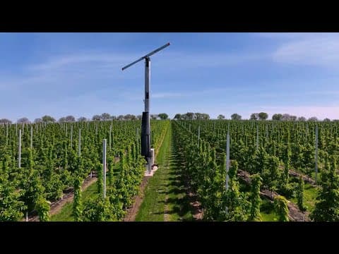 Prima plasă eoliană antiîngheț din R. Moldova, instalată la Drochia [VIDEO]