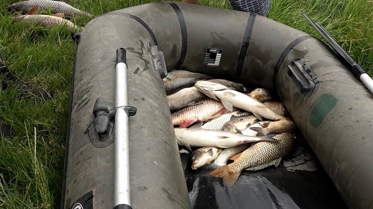FLOREȘTI: Sute de kilograme de pește mort descoperite la Mărculești. Localnicii, în stare de panică (VIDEO)