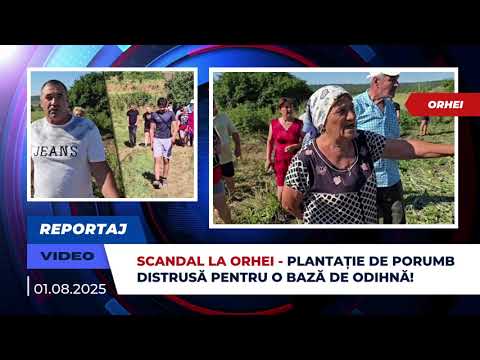 Scandal la Orhei: Plantație de Porumb Distrusă pentru o Bază de Odihnă! (VIDEO)