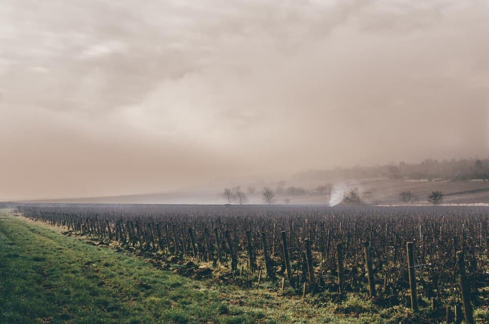 Vie într-o zonă rurală, cu fum ridicându-se deasupra câmpului