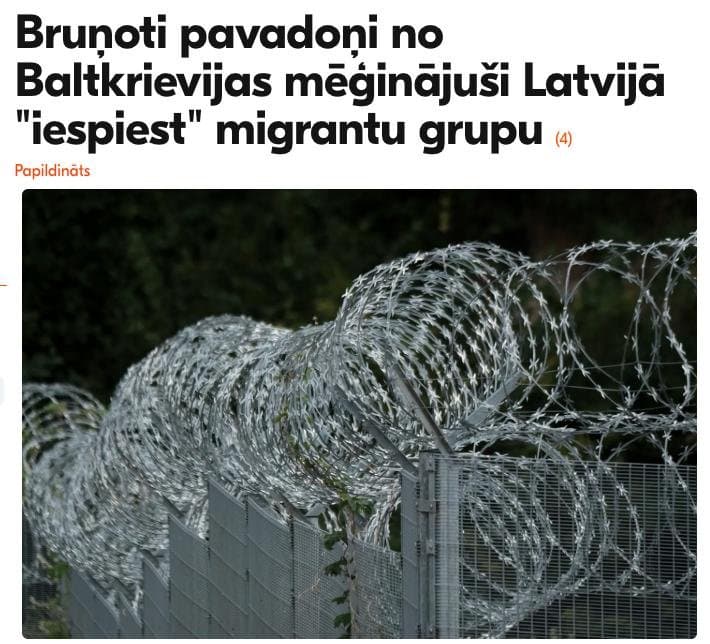 Gard de frontieră cu sârmă ghimpată și stâlp cu cameră de supraveghere, la marginea unei păduri