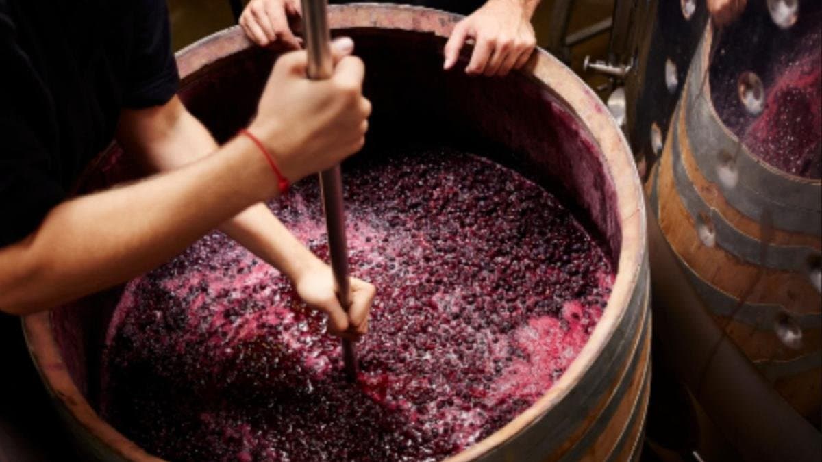 Cantemir: un bărbat a murit intoxicat cu gaz de la vin, într-un beci