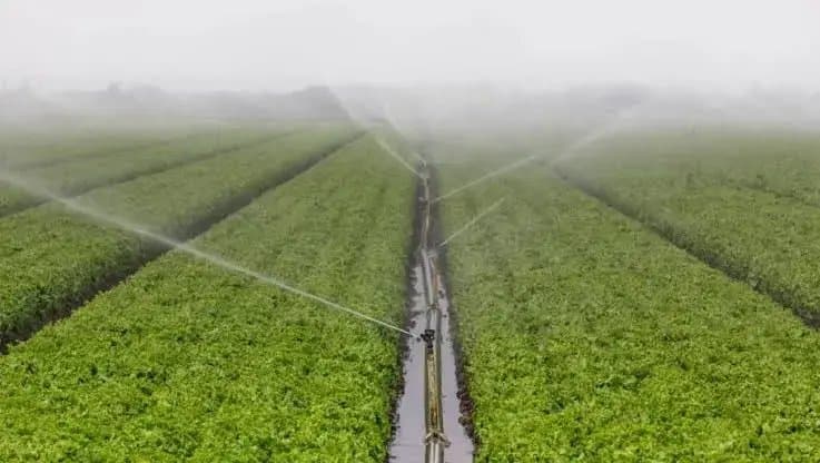 Irigații: Moldova ia de la BERD 102,9 milioane de euro pentru 6.900 de hectare