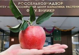 produse moldovenești